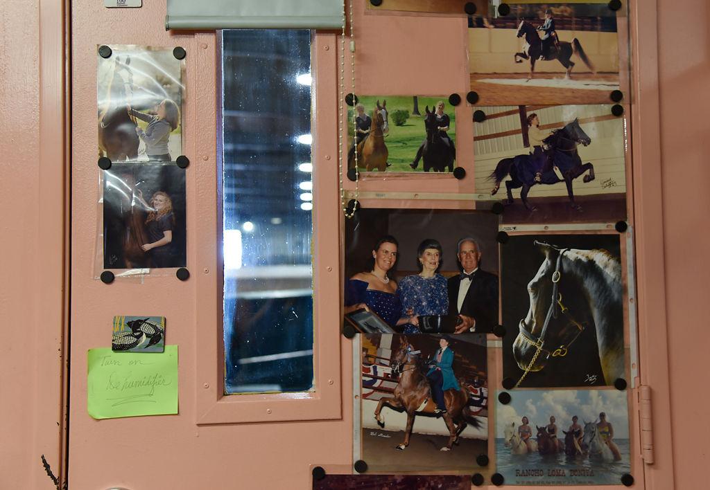 Equestrian Professor Celebrated For 50 Year Legacy In Her Field