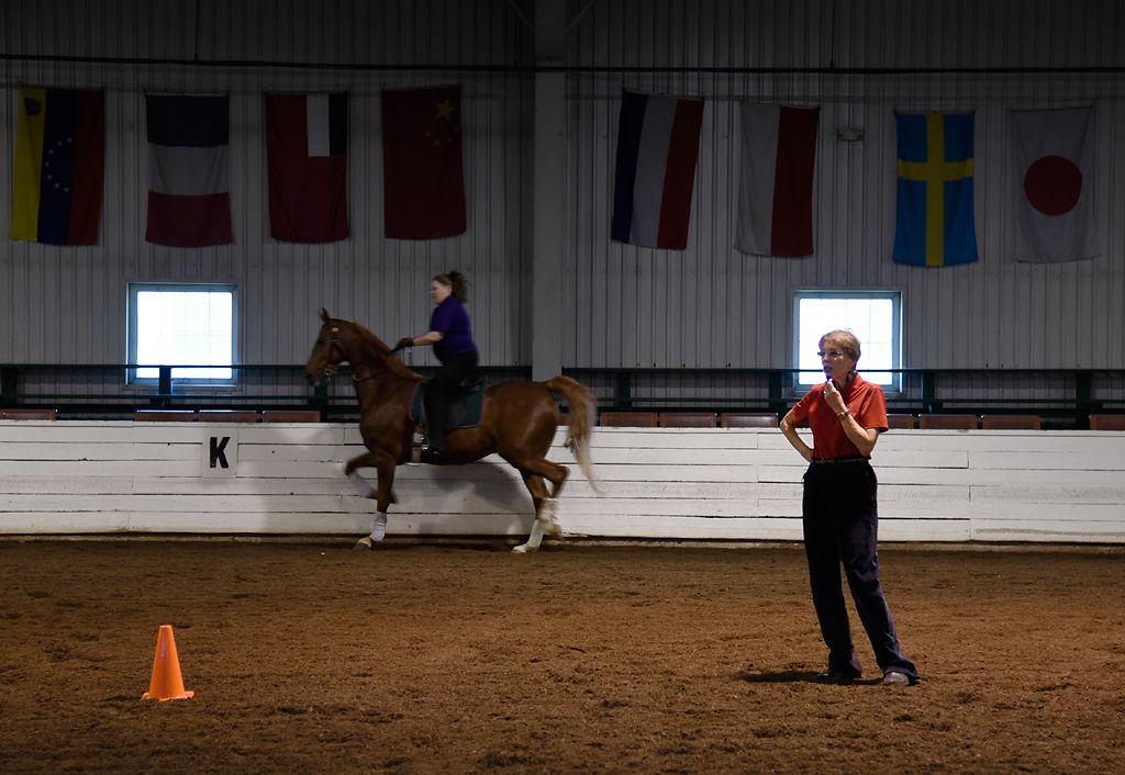 Equestrian Professor Celebrated For 50 Year Legacy In Her Field