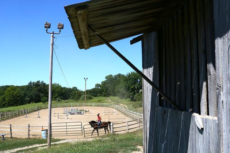 A childhood filled with horses leads to job as barn manager for equine