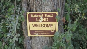 Federal Roadless Rule Rollback May Impact Missouri National Forests