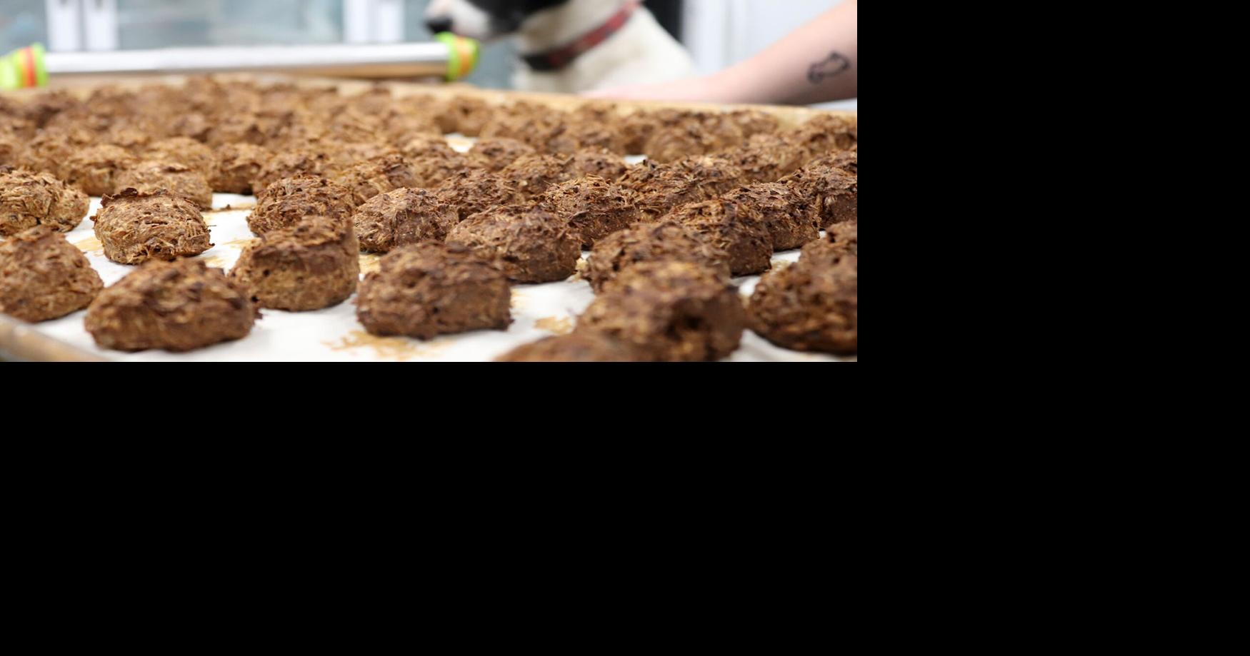 Freshly baked spent grain dog treats Special Sections