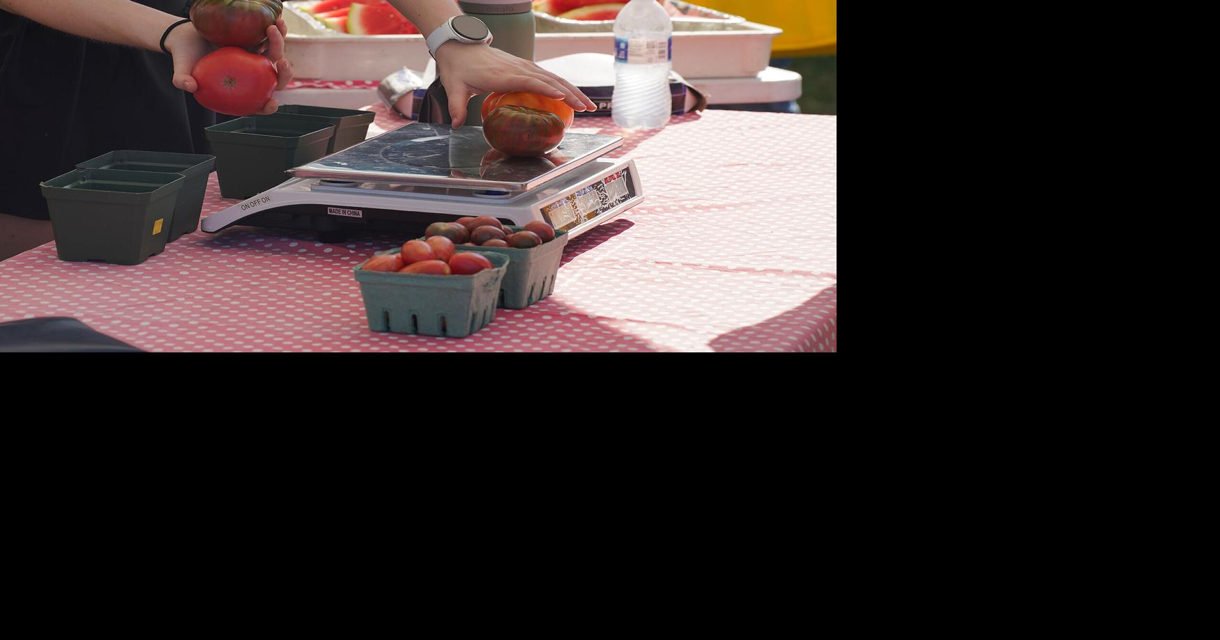 Tomato Festival brings people out for a day at the farm