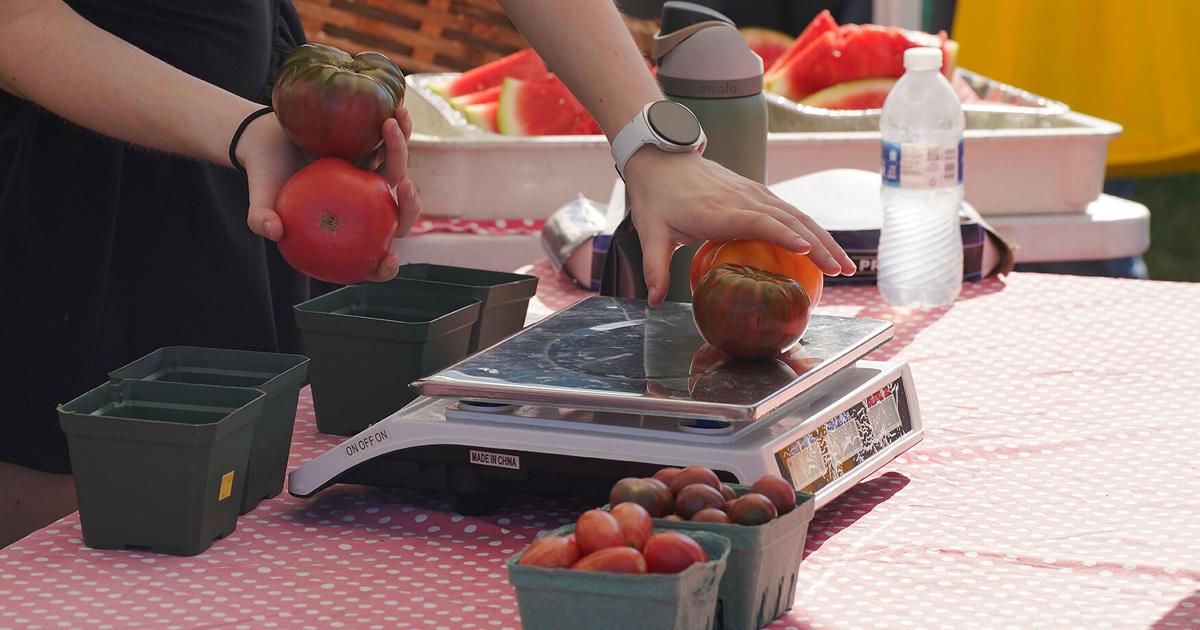 Tomato Festival brings people out for a day at the farm