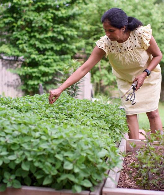 Raw Roots Turmeric brings fresh, natural herbs to Columbia | Spotlight