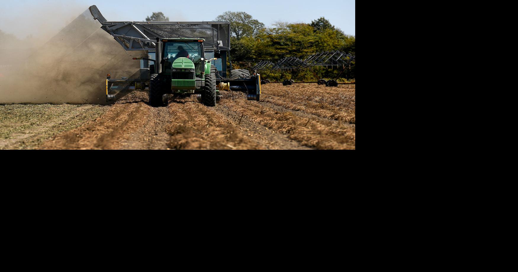 Missouri is fast becoming a major player in growing peanuts