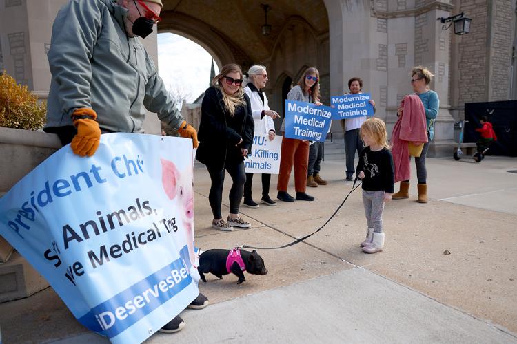 River Pauley, 2, walks Chebby, a part Pot-bellied and mini pig hybrid, during a protest put on by the Physicians Committee for Responsible Medicine