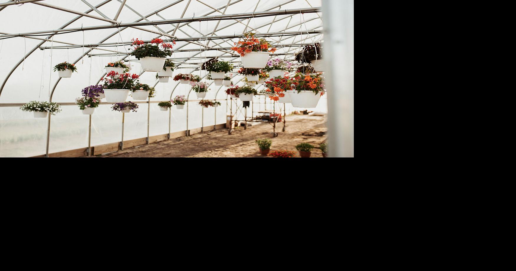 Pick your own flowers and produce at Apple Ridge Orchard in Sikeston ...
