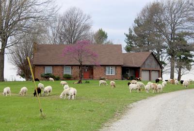 With Corn Belt inching north, Midwest farm diversification ...