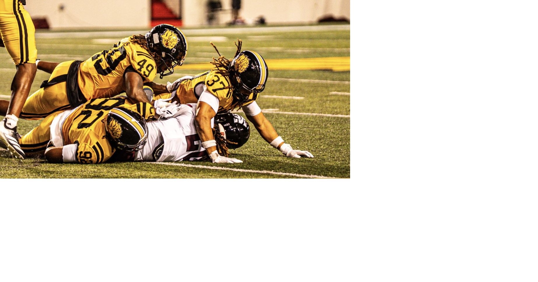 Arkansas-Pine Bluff football