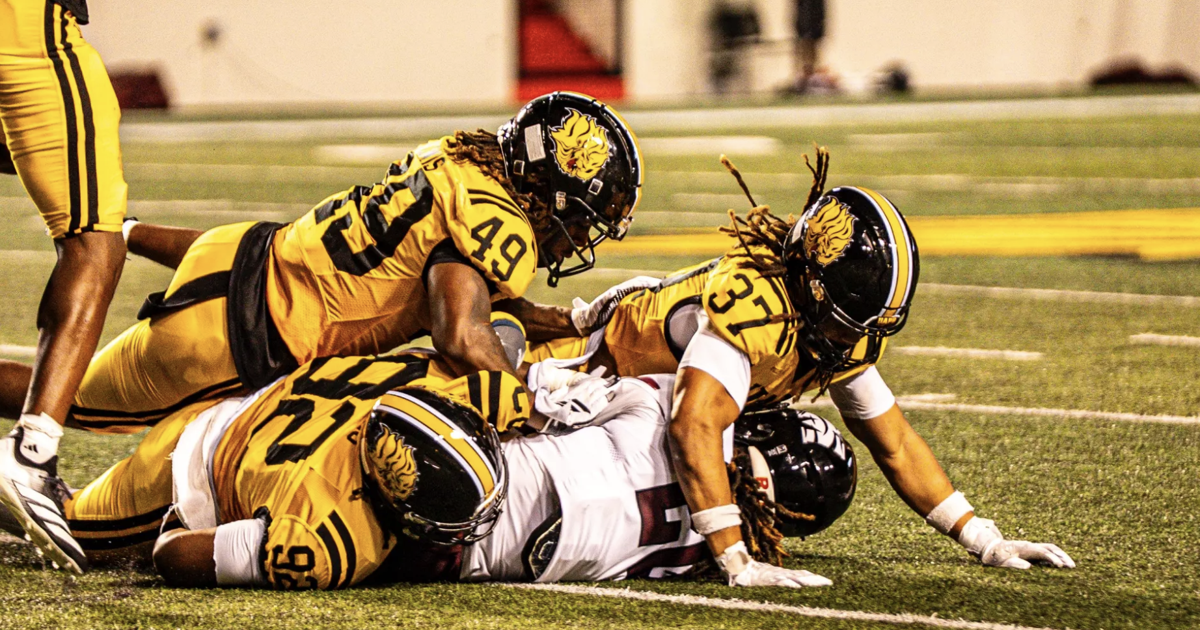 Arkansas-Pine Bluff football