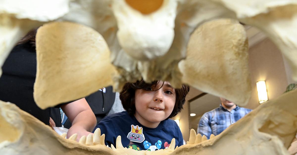 Los niños aprenden y exploran en la Expo Anual de Ciencias de la Juventud de Columbia.