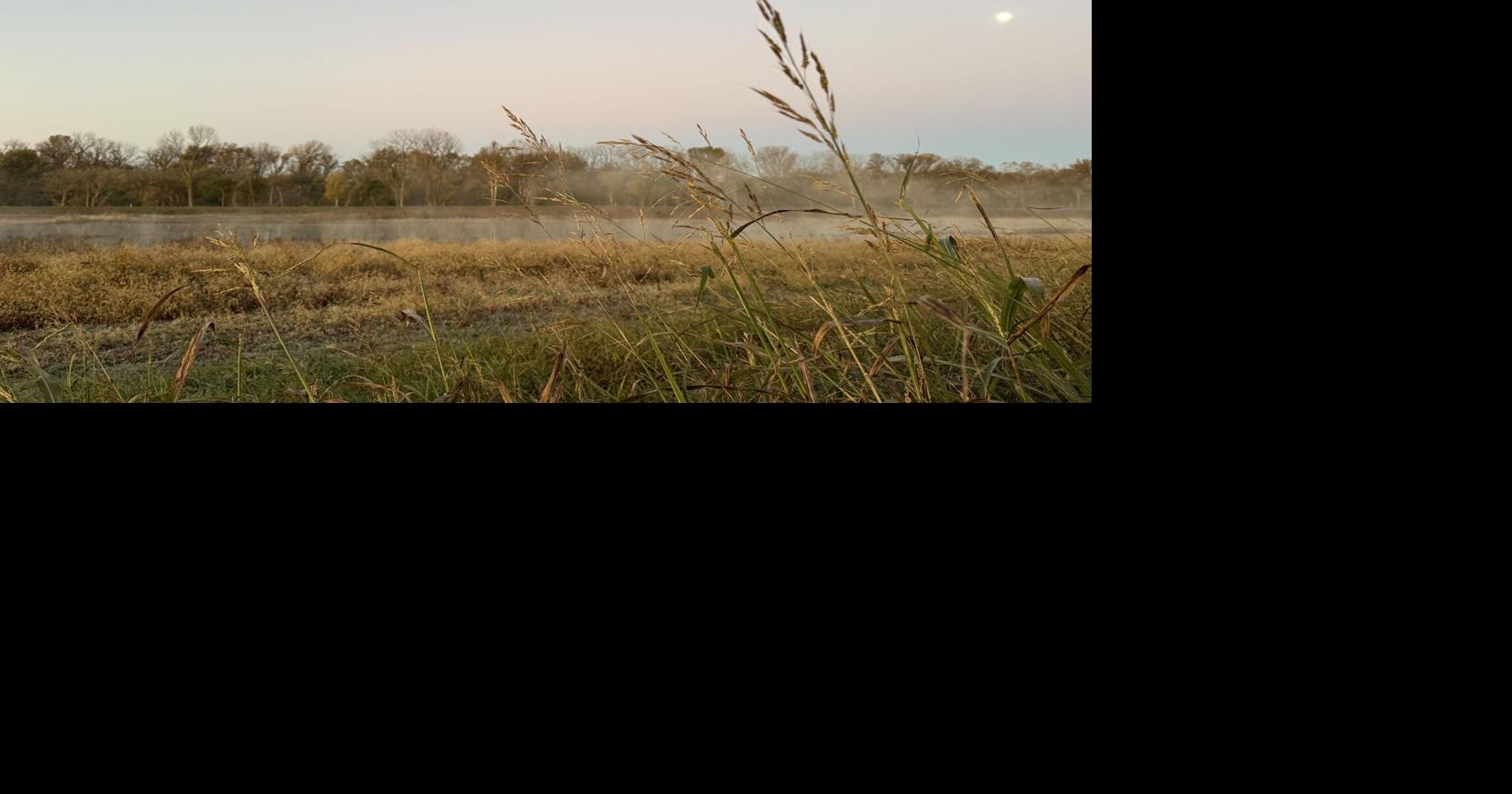 Eagle Bluffs was restored as a wetland in the 1990s