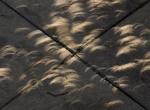 Light from the partial eclipse shines through leaves