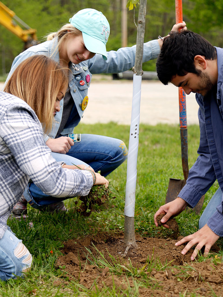 Volunteers place dirt over a newly planted tree