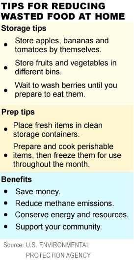 Reduce food waste, save money