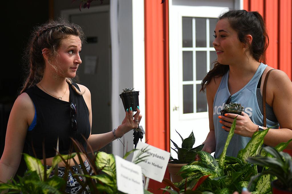 Local Plant Nurseries Adapt To Stay At Home Order Covid 19 Columbiamissourian Com