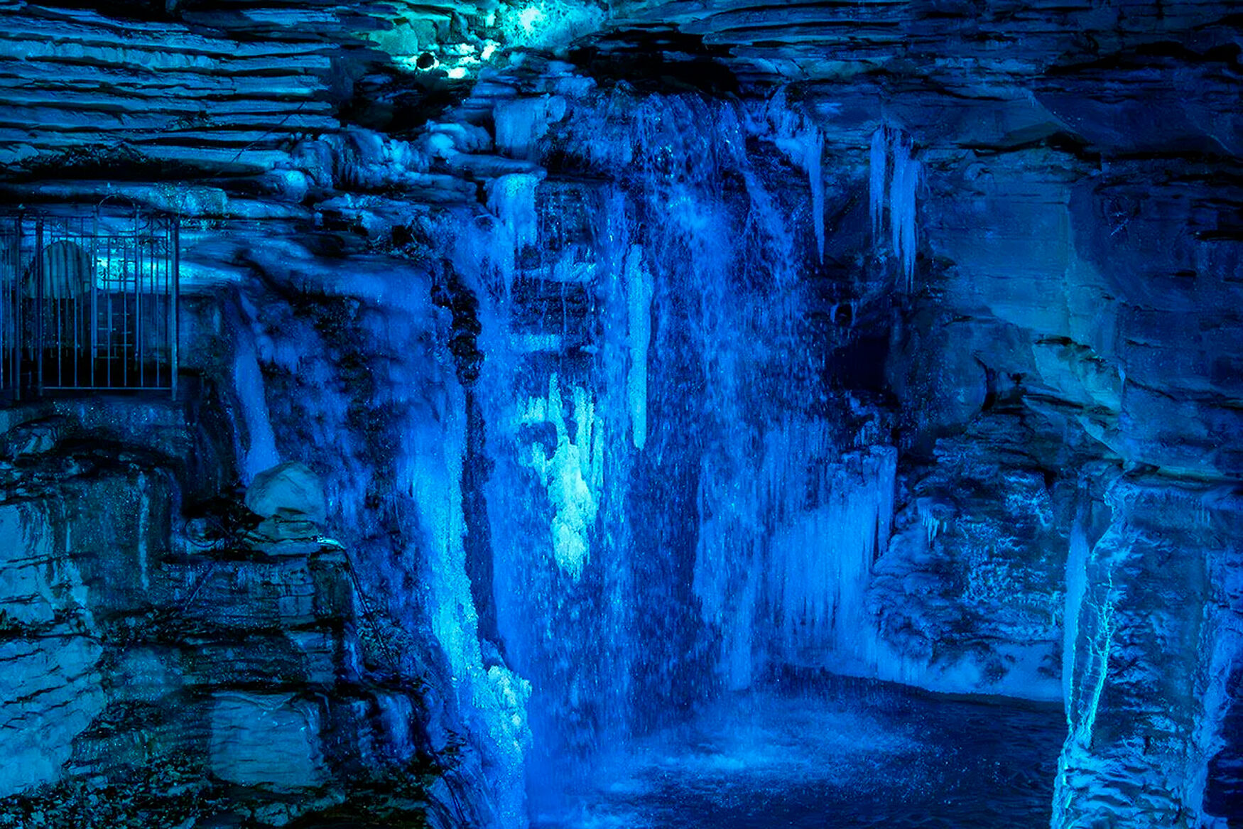 Nature at Night at Big Cedar Lodge brings the holiday season to