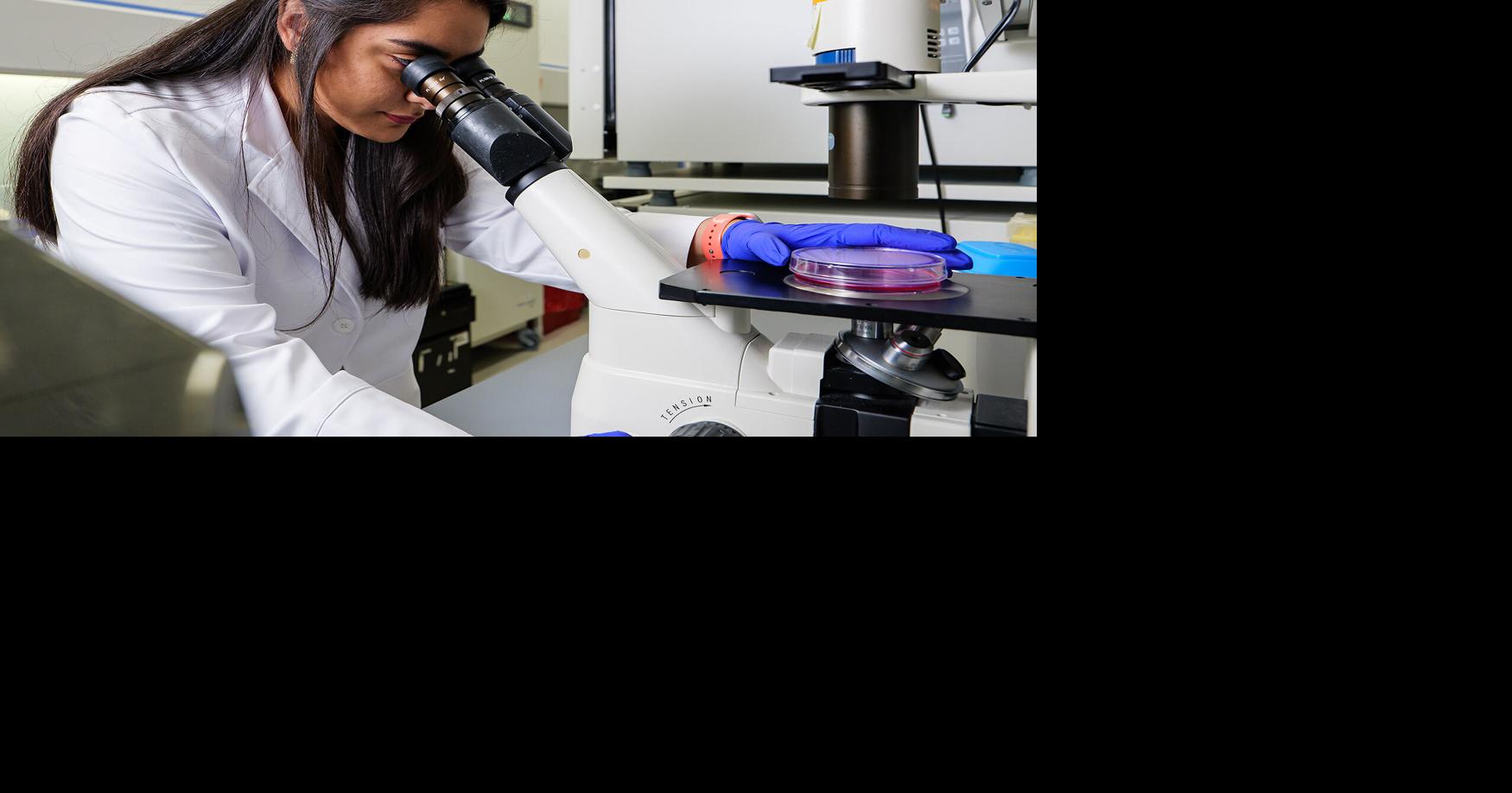 MU researchers modify lung cells to fight the flu and other respiratory ...