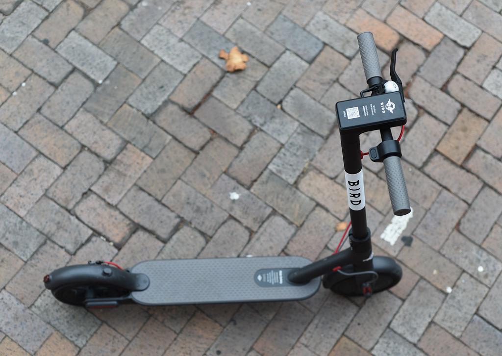 Council Approves Bird Scooter Agreement 5 1 Local Columbiamissourian Com