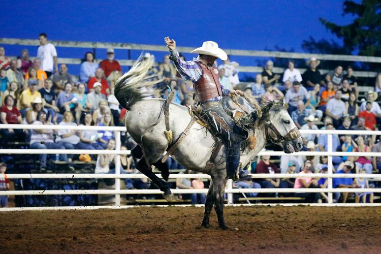 Big crowds, broken bones and berserk cattle — all in a day's work at ...