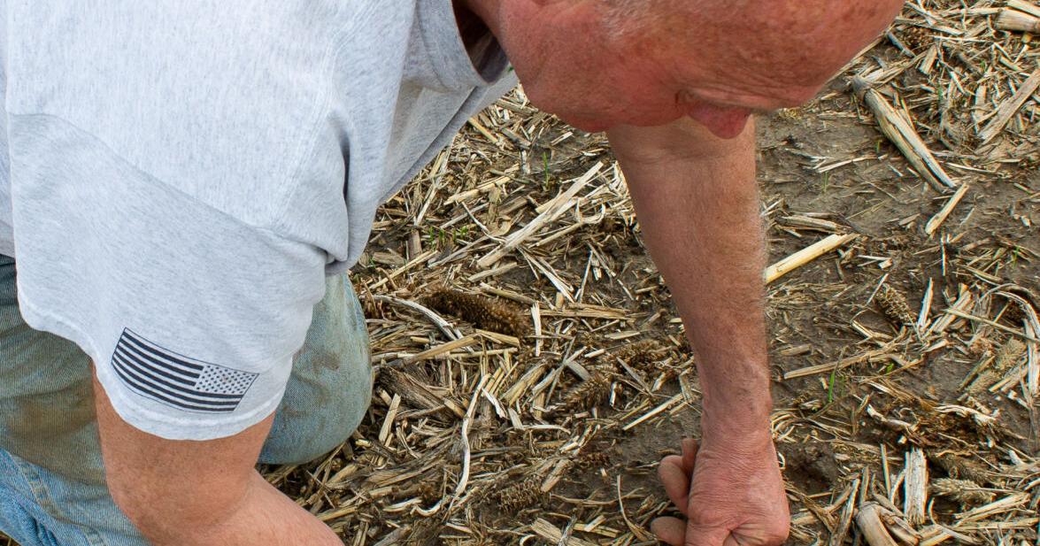 How one program is working to bring Corn Belt farmers together for ...