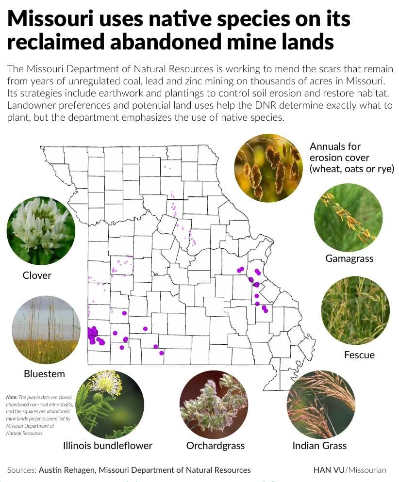 Missouri DNR uses native species on its reclaimed abandoned mine land