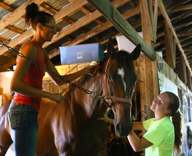 A childhood filled with horses leads to job as barn manager for equine center Local