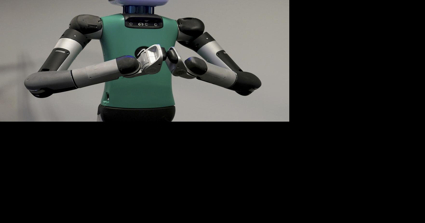 Humanoid robots are here, but they're a little awkward. Do we really ...