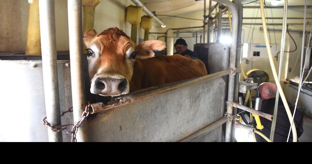 It's the last permitted retail raw milk farm in Missouri — a ...