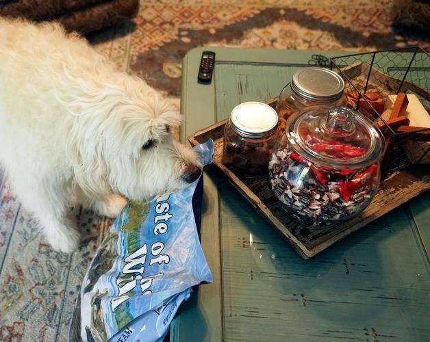 Steve Hirt brings out his go-to dog food