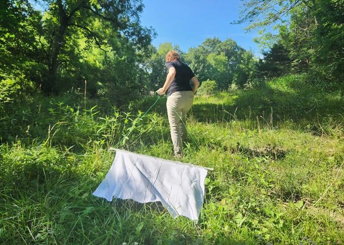 Be careful outdoors Missouri a hotbed for tickrelated illnesses