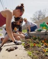 Volunteers gather for gardening day at Centro Latino