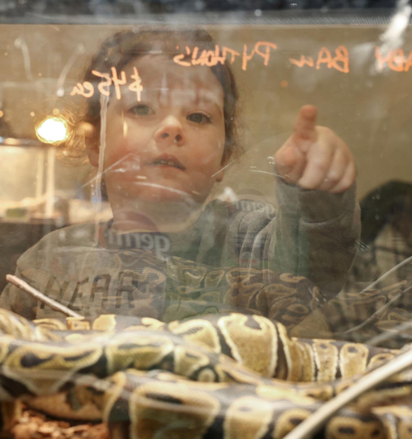 Show Me Reptile Show slithers back to Columbia | Local