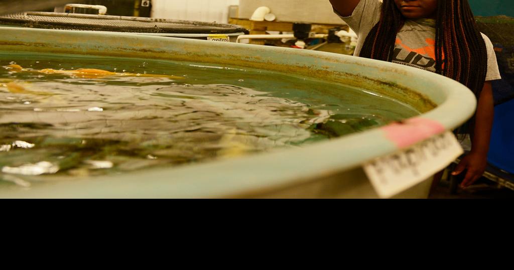 PHOTO GALLERY: Grad students and community members continue work in ...