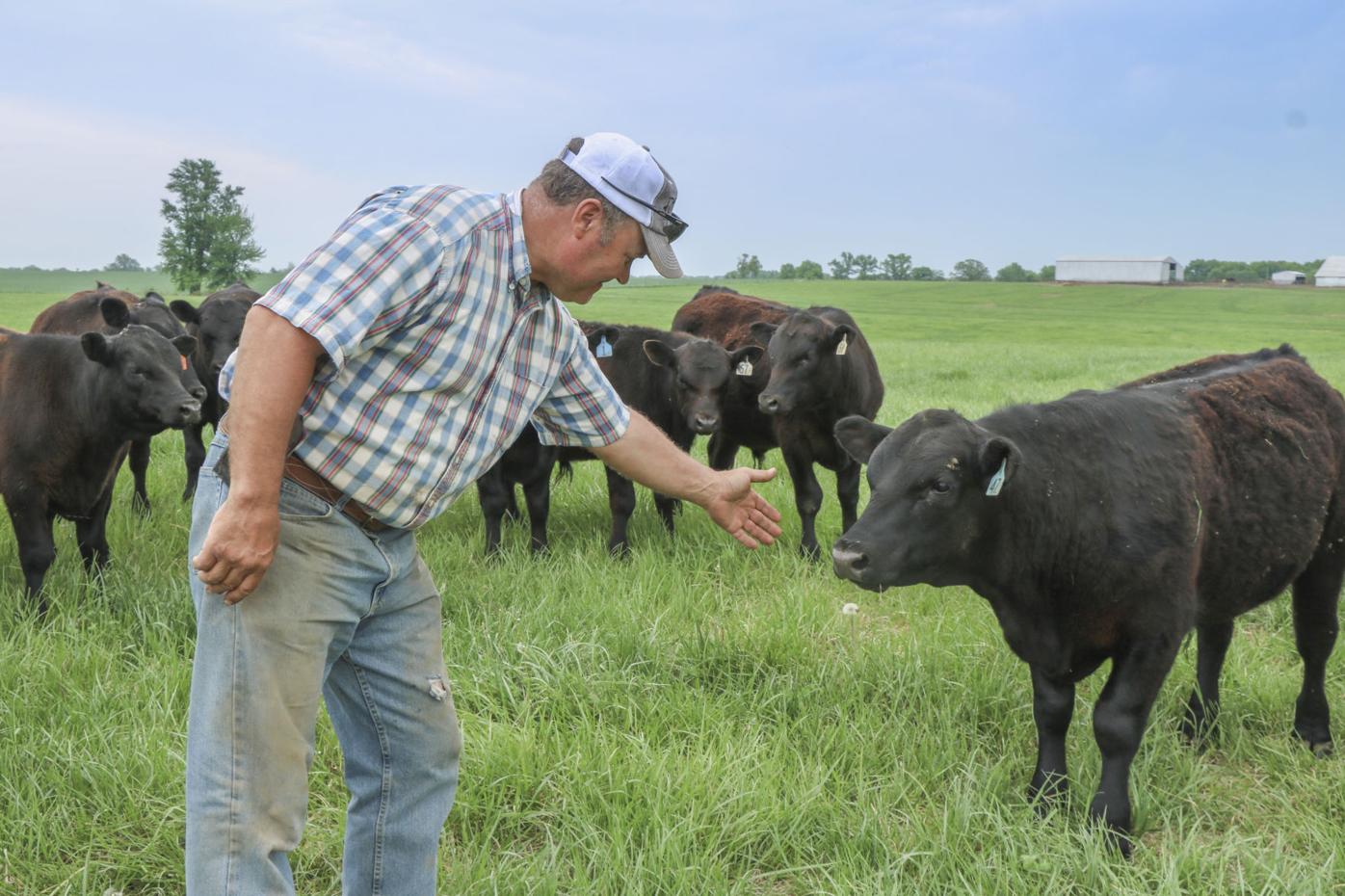 Government eases up on CAFOs as residents fight their expansion | Local |  