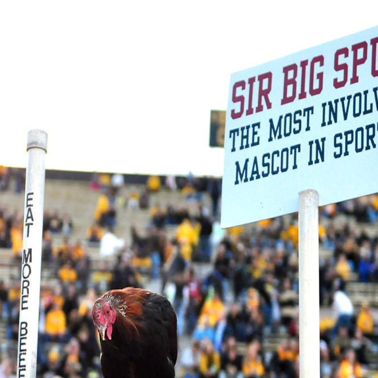Frustrated After 27 24 Loss To South Carolina Missouri Football