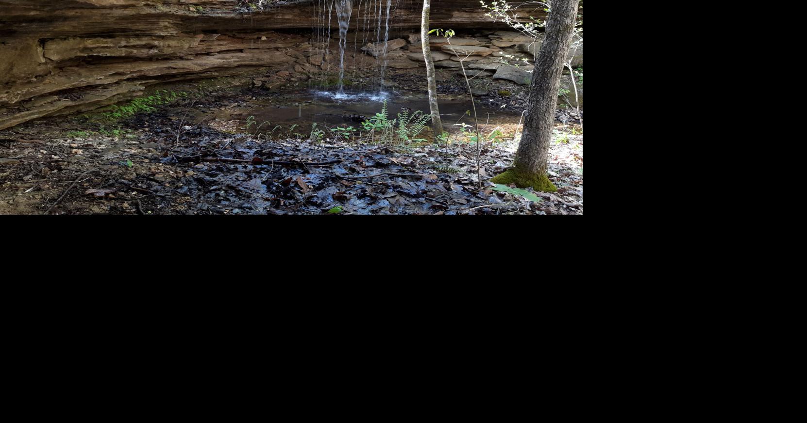 Bryant Creek State Park Visuals