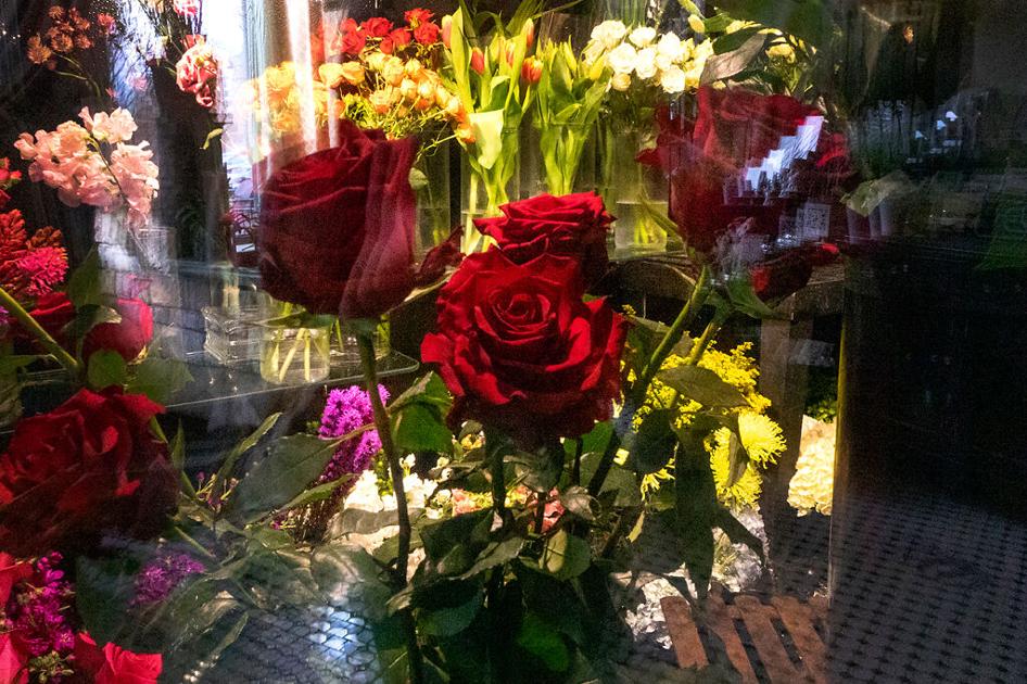 A small collection of roses sits inside a refrigerated room | News | columbiamissourian.com