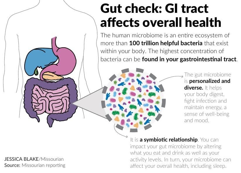 Gut health and concentration