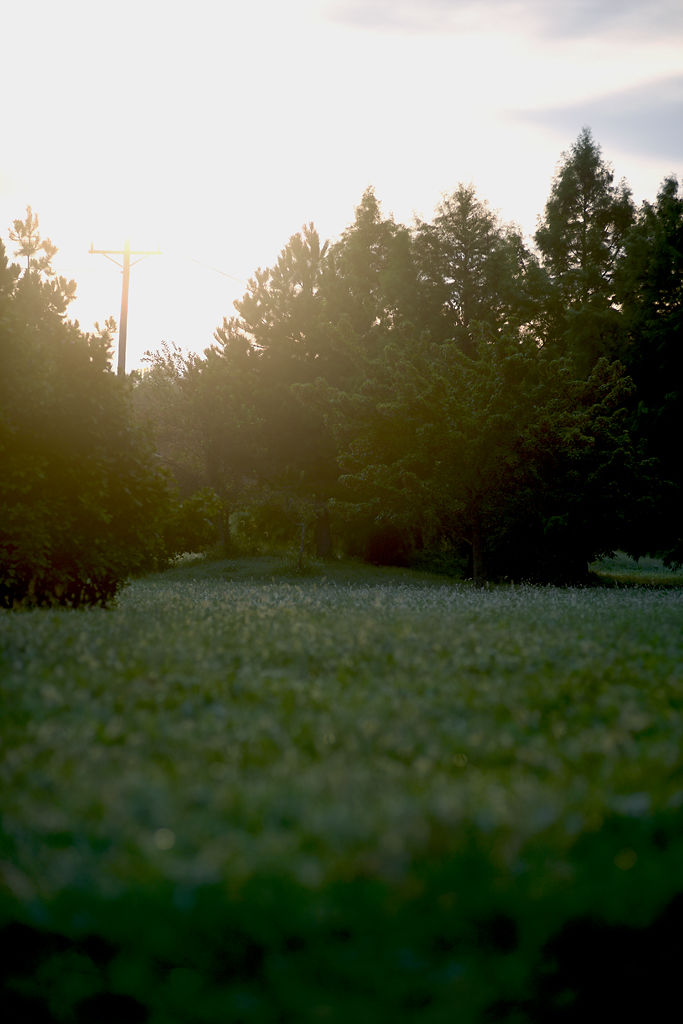 Park plans altered to make neighbors happy Local