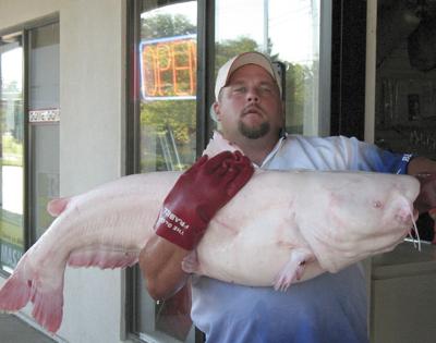 Fisherman hooks albino rarity | Local | columbiamissourian.com Fisherman hooks albino rarity | Local | columbiamissourian.com