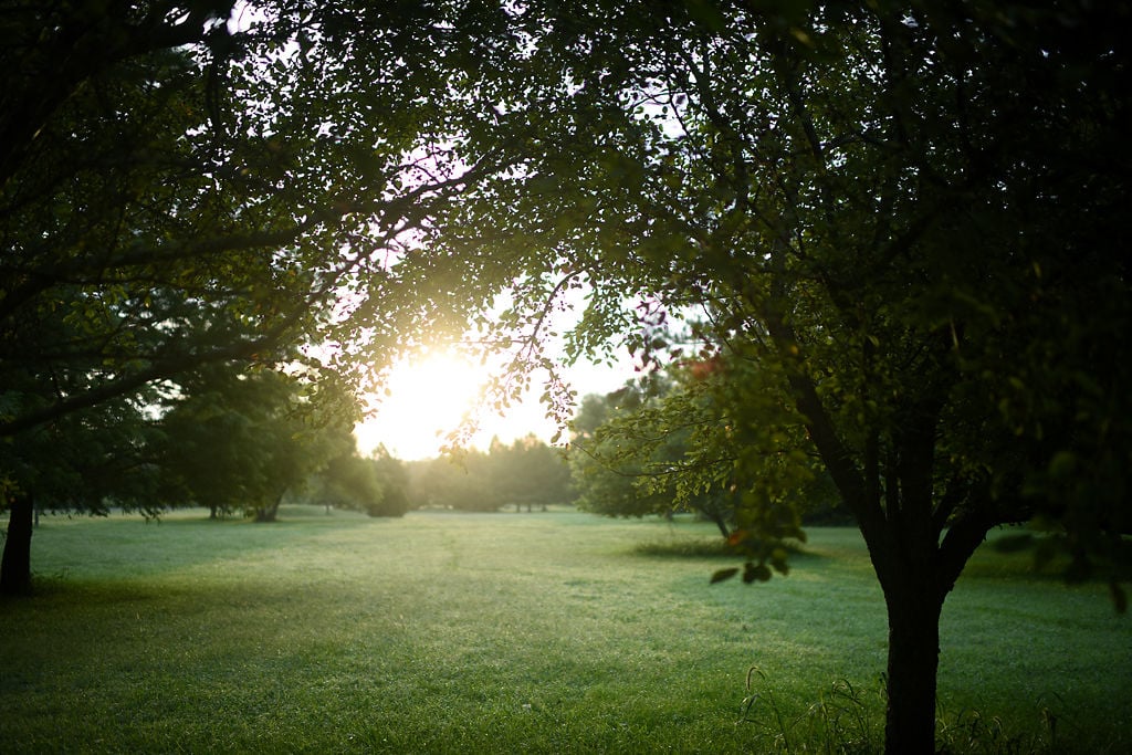 Park plans altered to make neighbors happy Local