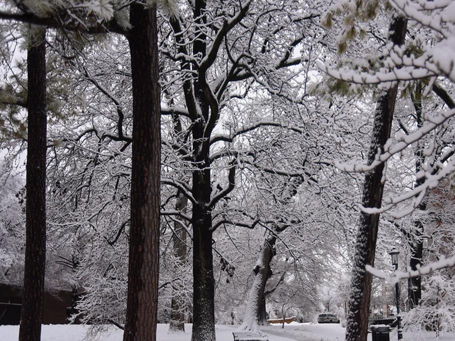 Overnight Snow Leads To Slick Roads School Closures Friday