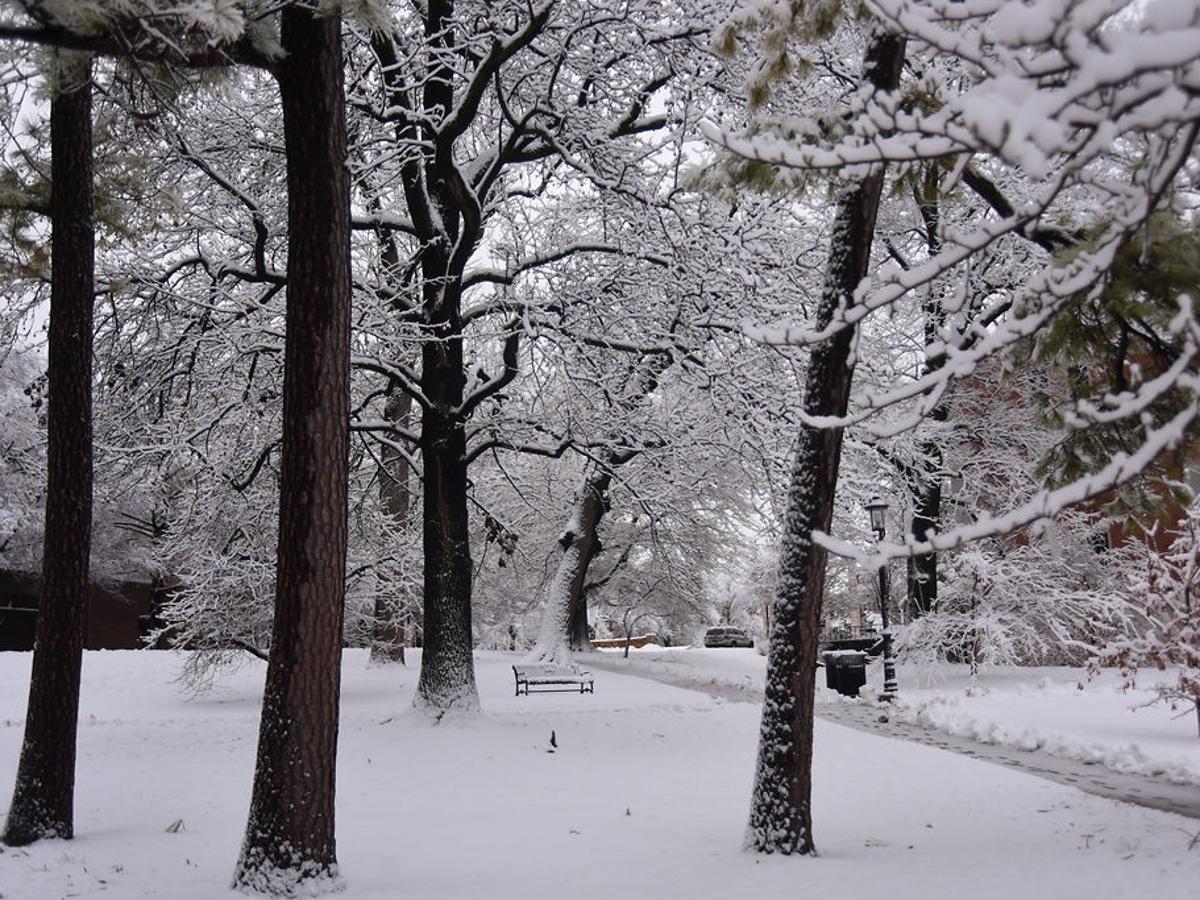 Overnight Snow Leads To Slick Roads School Closures Friday
