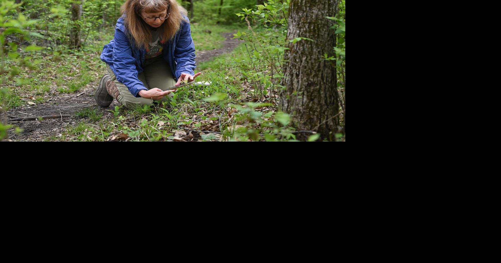 A simple app has turned thousands in Boone County into eager naturalists