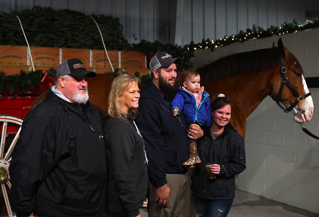 Warm Springs Ranch Christmas Lights 2022 Holidays At Warm Springs Ranch Will Still Put Visitors Close To Clydesdales  | Central Missouri | Columbiamissourian.com