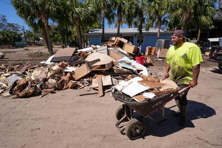 International Response and Relief Efforts