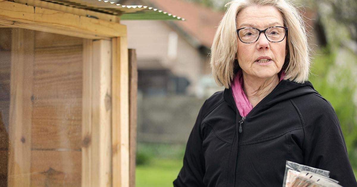 Pat Fowler explains how the neighborhood giving box came to be ...