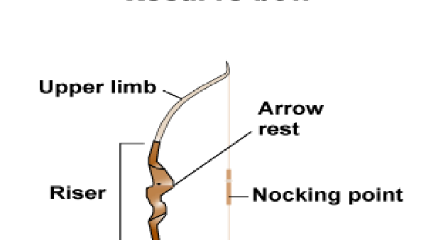 Missouri prohibits use of crossbows in archery season | Local 