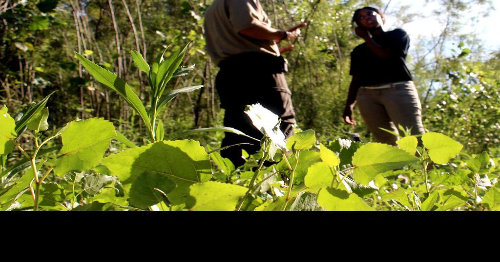 After floods, Overton Bottoms went from crop fields to wildlife habitat